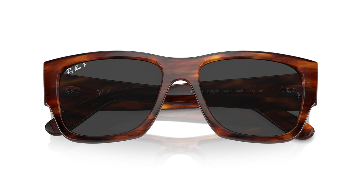 Ray-Ban Carlos RB 0947S 954/48 Polarised