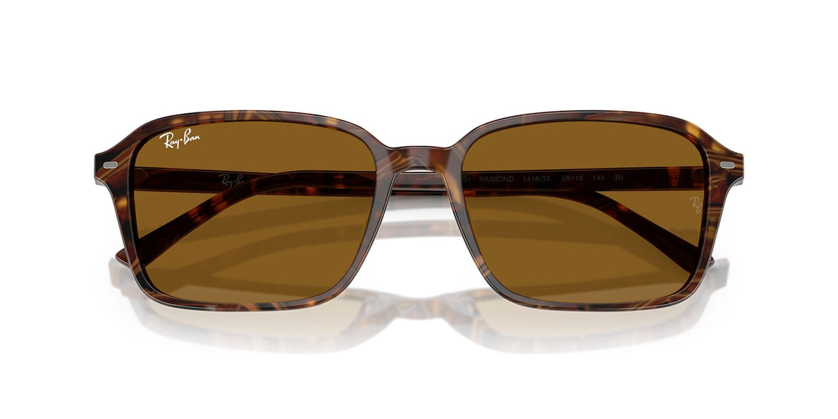 Ray-Ban Raimond RB 2231 1418/33 - As Seen On Alex Warren