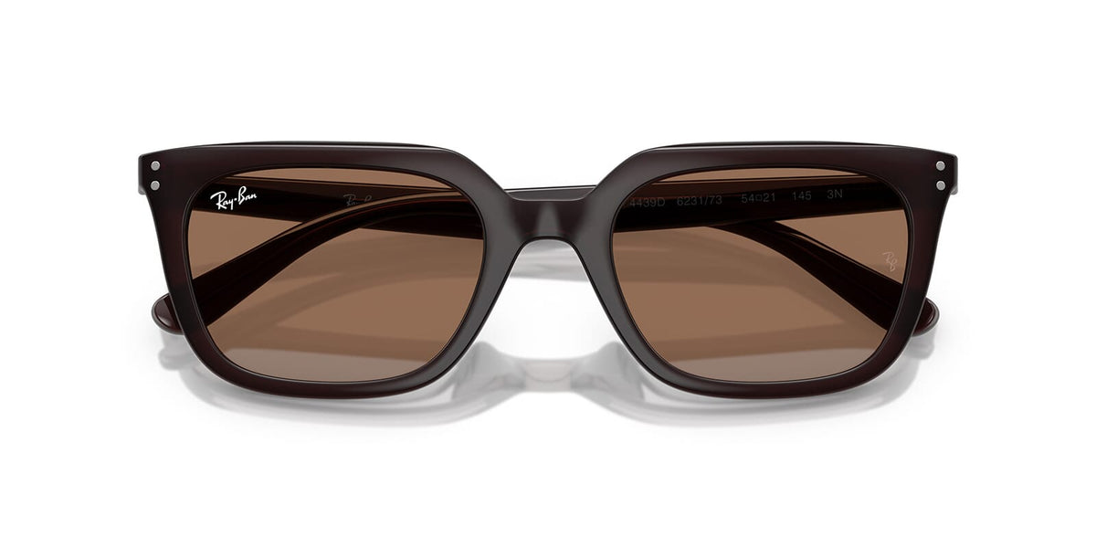 Ray-Ban RB 4439D 6231/73