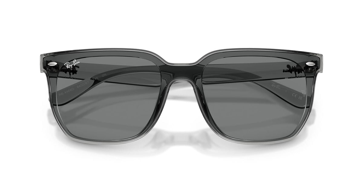 Ray-Ban RB 4466D 6450/87